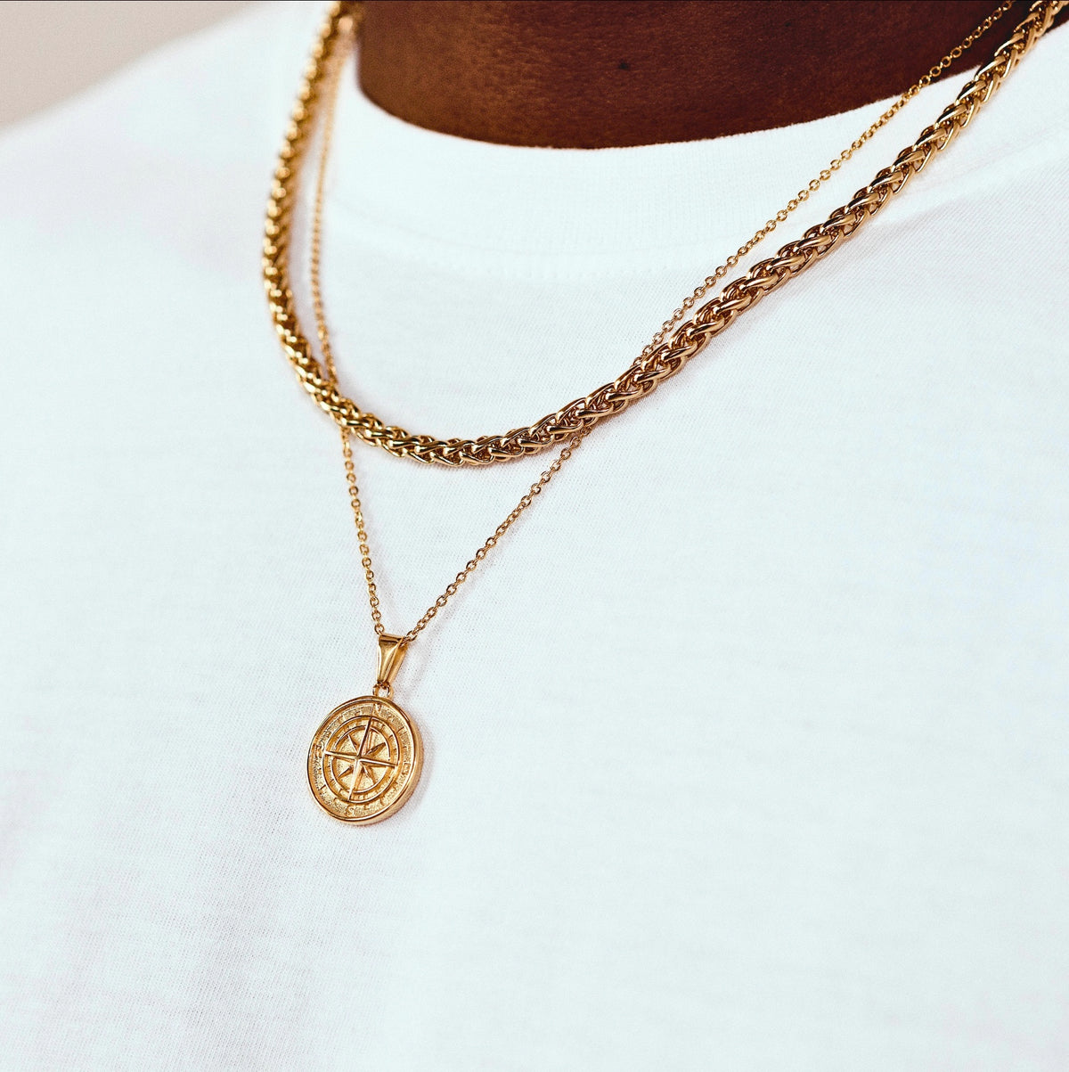 COMPASS (GOLD) — model view 2