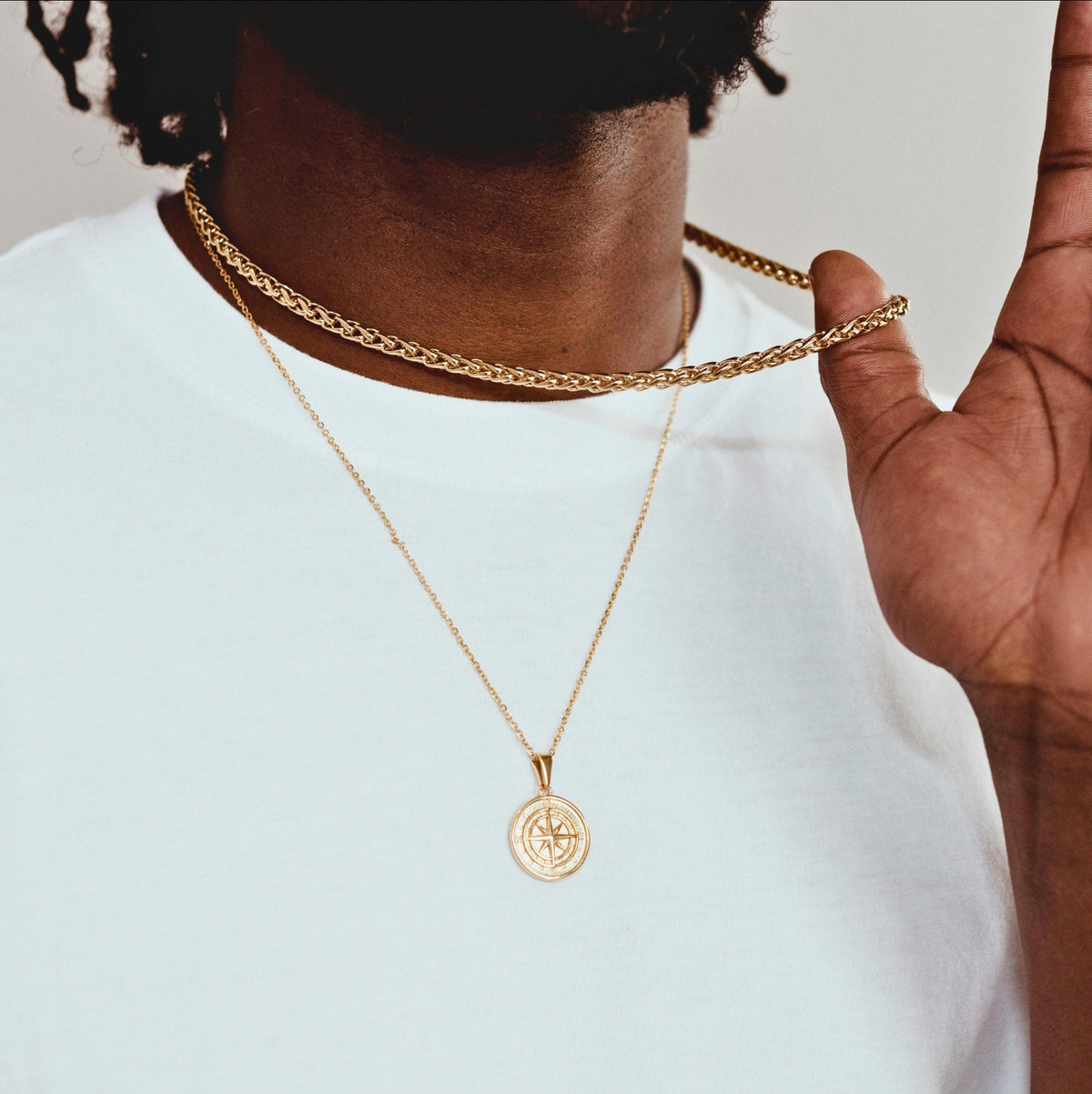 COMPASS (GOLD) — model view 4