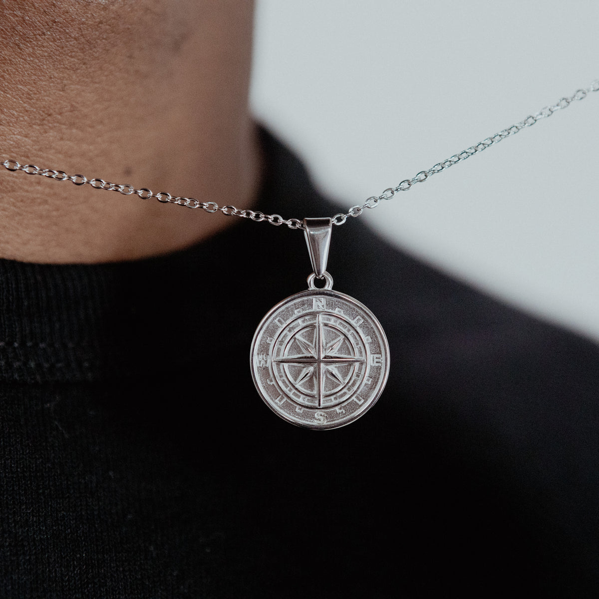 COMPASS (SILVER) — model view 1