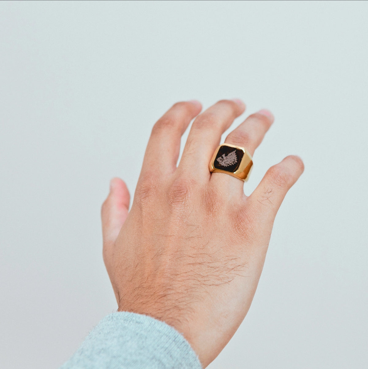 ALPHA — GOLD — model view 1